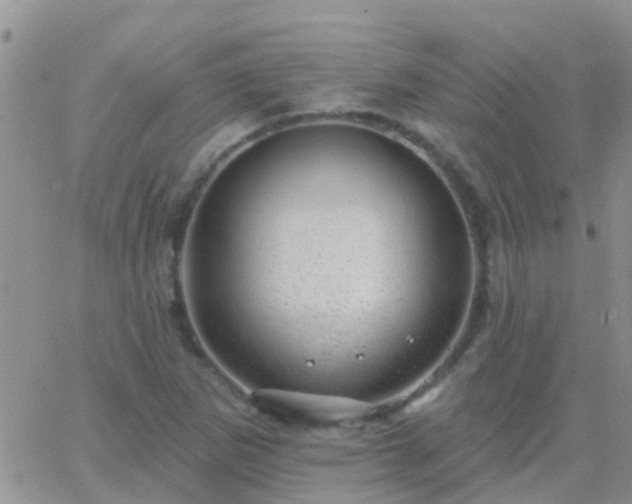 X0000065261265200602242106