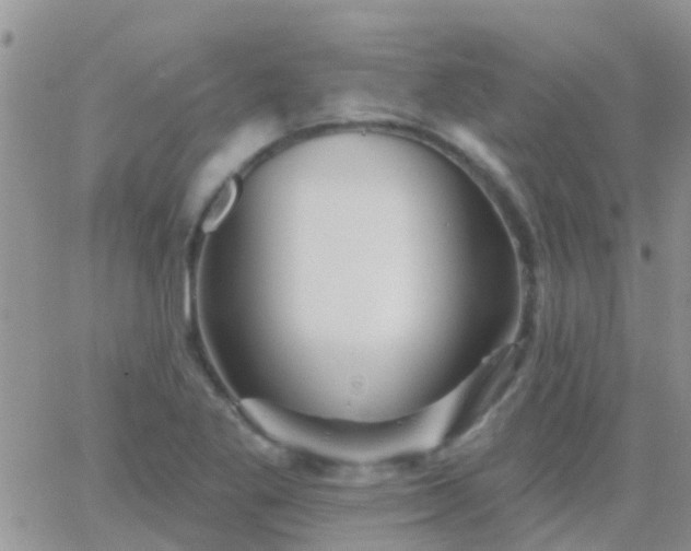 X0000065261269200602242106