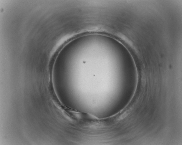 X0000065261270200602242106