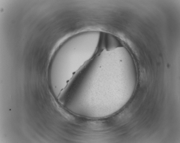 X0000065261272200602242106