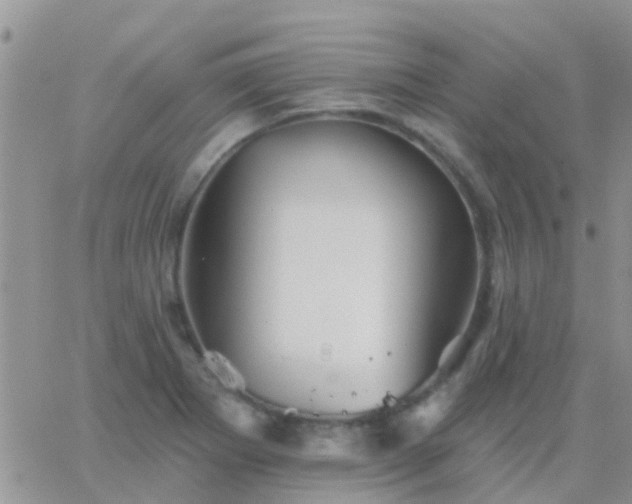 X0000065261273200602242106