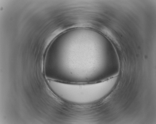 X0000065261276200602242105