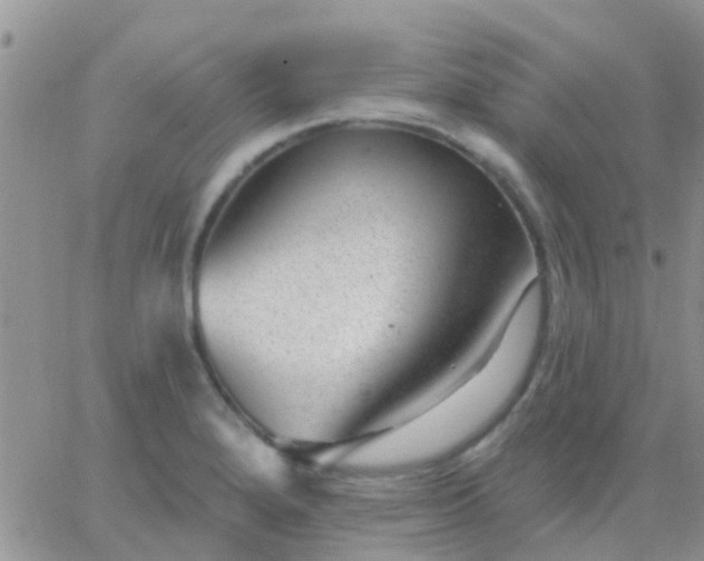 X0000065261280200602242105