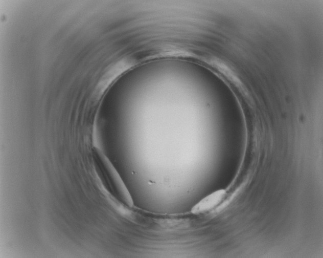 X0000065261281200602242105