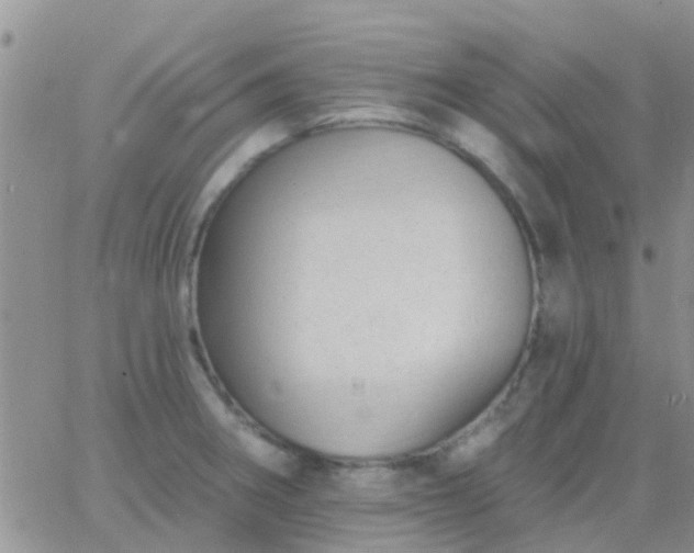 X0000065261282200602242105