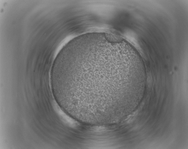 X0000065261283200602242105