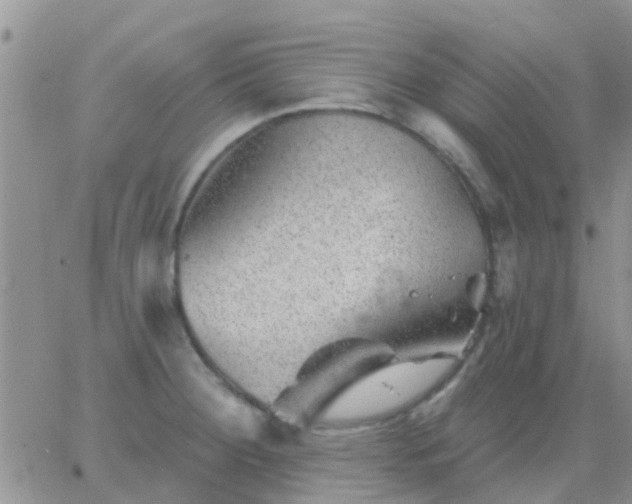 X0000065261284200602242105