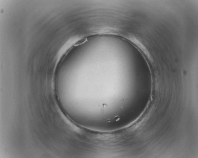 X0000065261285200602242105