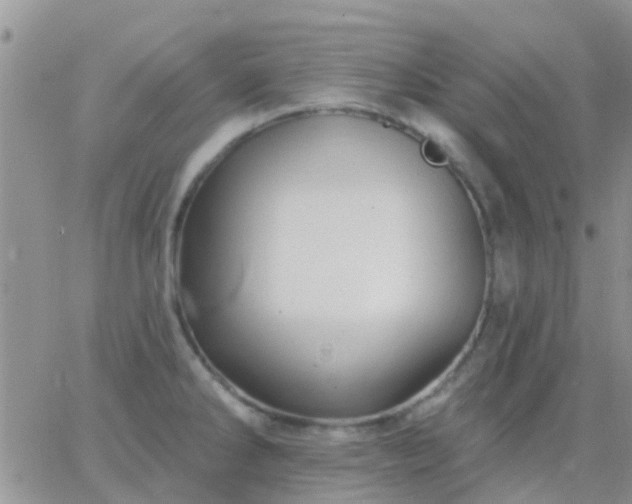 X0000065261286200602242105