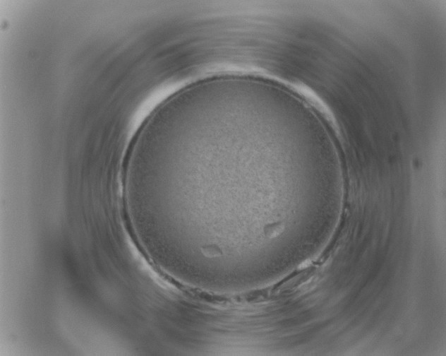 X0000065261287200602242105