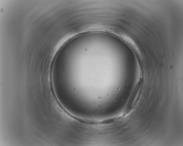 X0000065261288200602242105