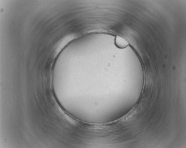 X0000065261290200602242105