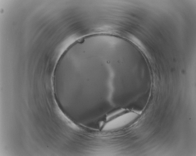 X0000065261291200602242105