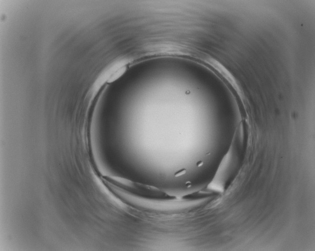 X0000065261293200602242105