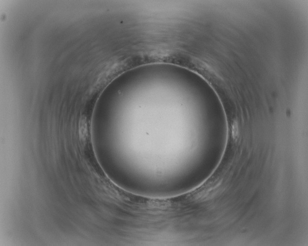 X0000065261299200602242104