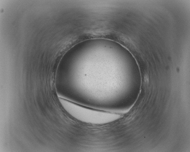 X0000065261300200602242104