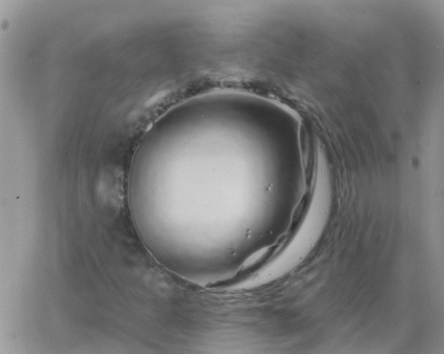 X0000065261301200602242104