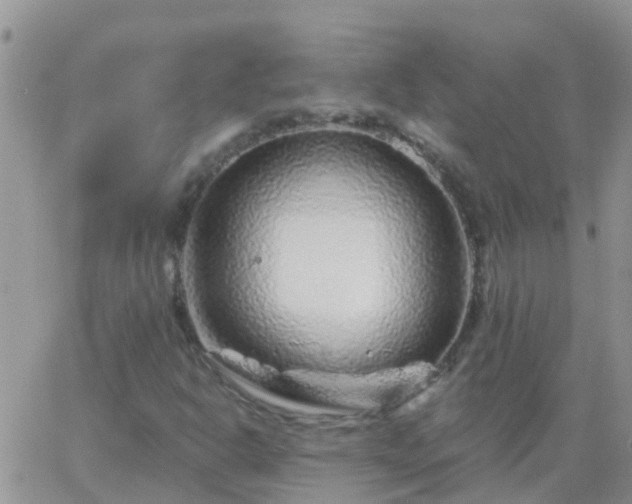 X0000065261302200602242104