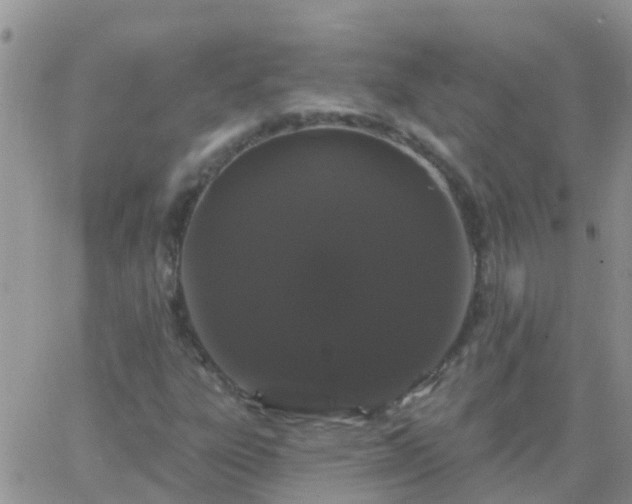 X0000065261303200602242104