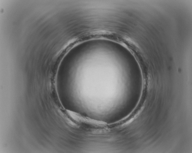 X0000065261305200602242104