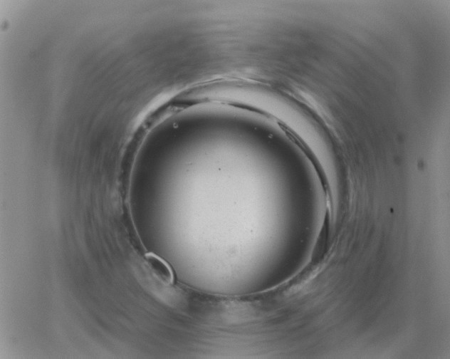 X0000065261308200602242105