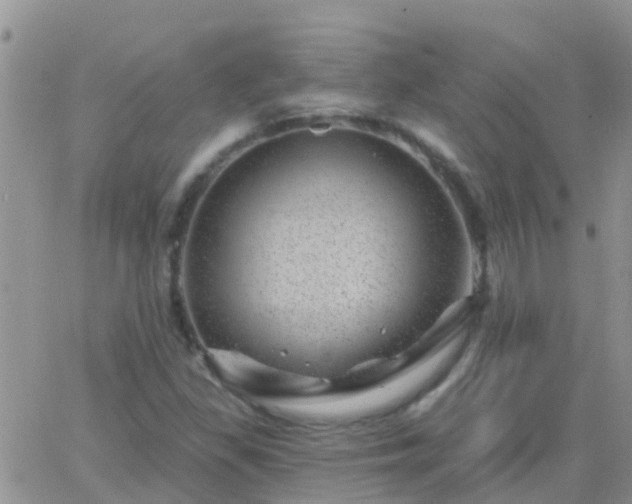 X0000065261309200602242105