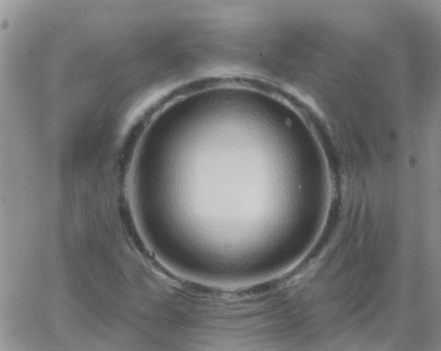 X0000065261311200602242105