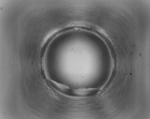 X0000065261312200602242105