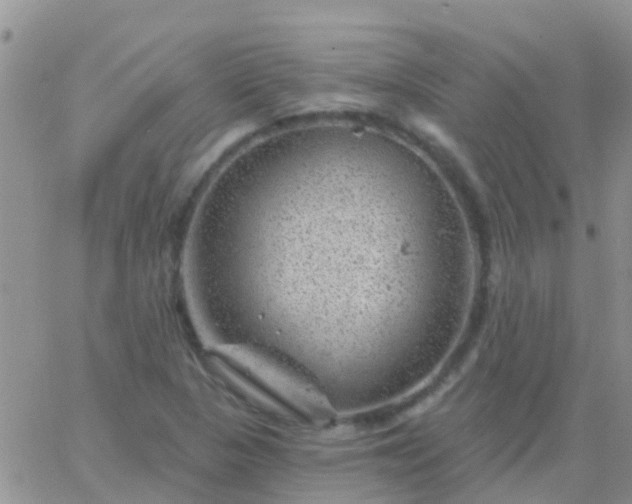 X0000065261313200602242105