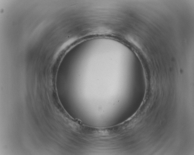 X0000065261315200602242105