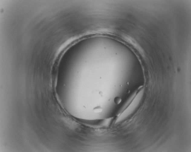 X0000065261316200602242105