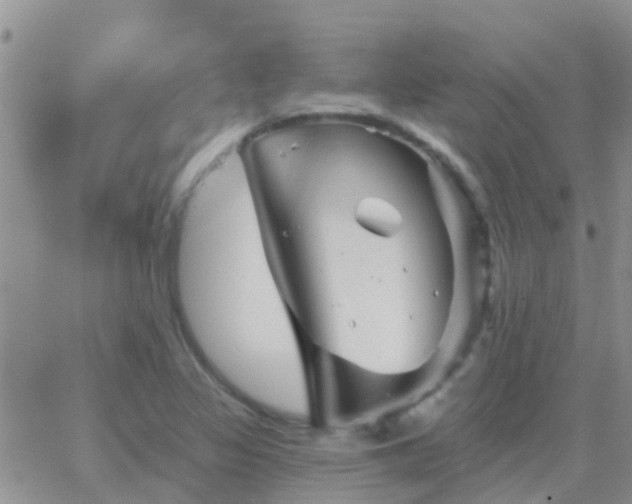 X0000065261317200602242105