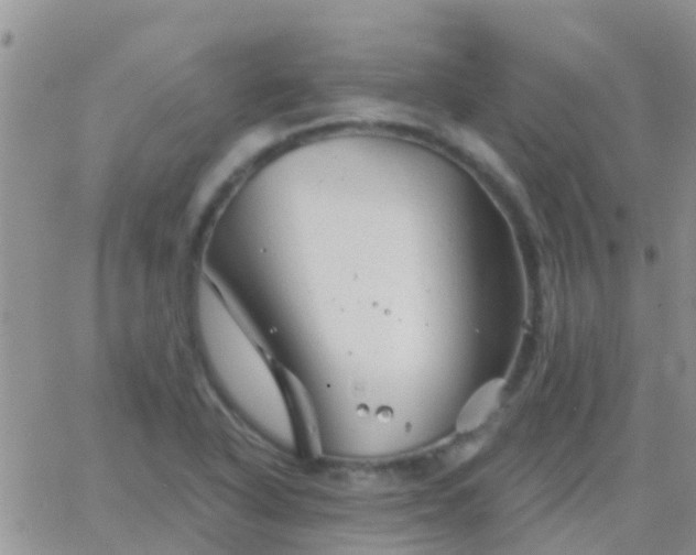 X0000065261318200602242105