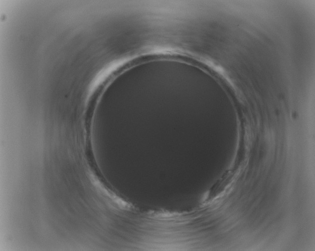 X0000065261319200602242105