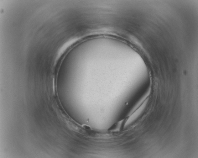 X0000065261320200602242105