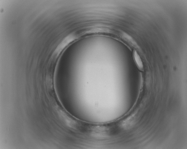 X0000065261321200602242105