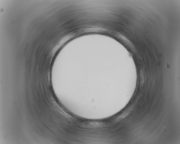 X0000065261322200602242105