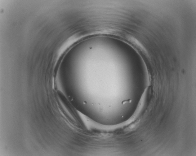 X0000065261324200602242105