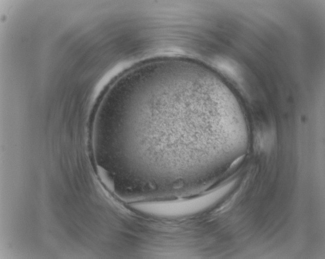 X0000065261326200602242105