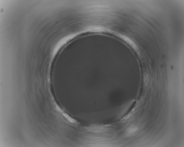 X0000065261327200602242105