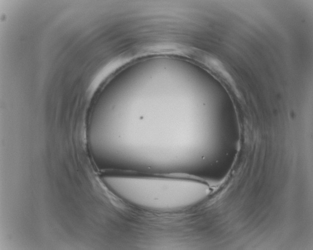 X0000065261328200602242105