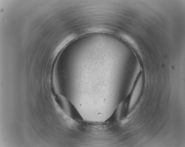 X0000065261330200602242105