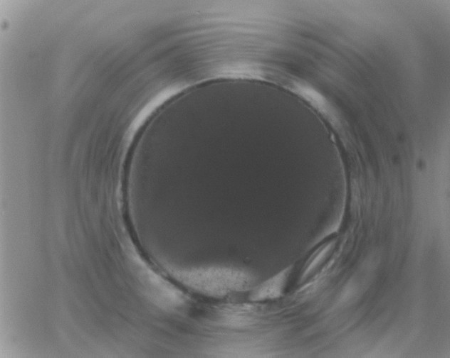 X0000065261331200602242105