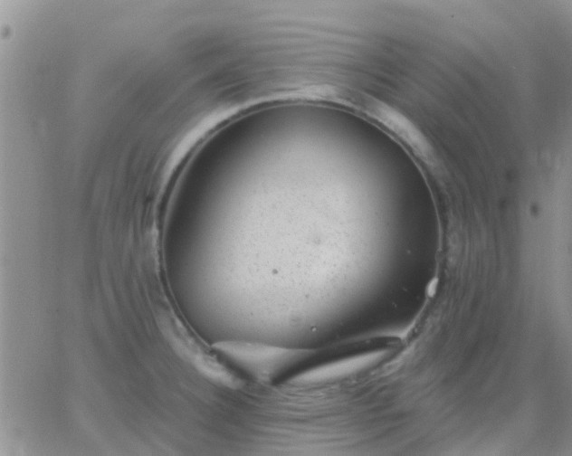 X0000065261332200602242105