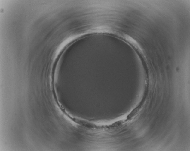 X0000065261334200602242105