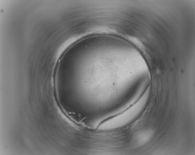 X0000065261335200602242105