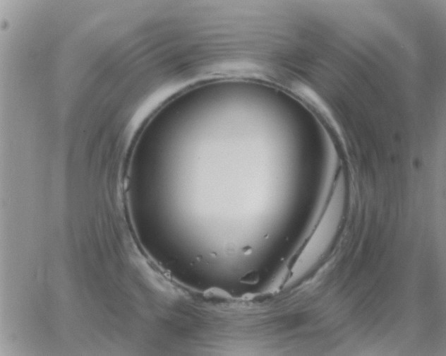 X0000065261336200602242105