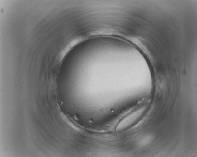 X0000065261337200602242105