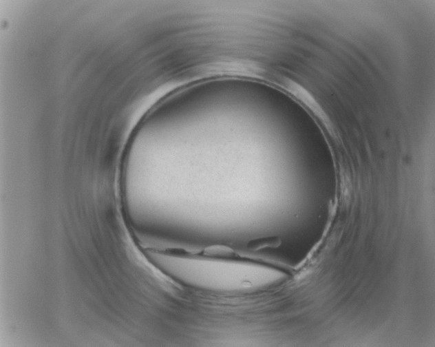 X0000065261339200602242105