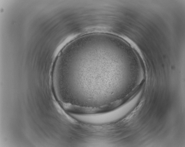 X0000065261341200602242105